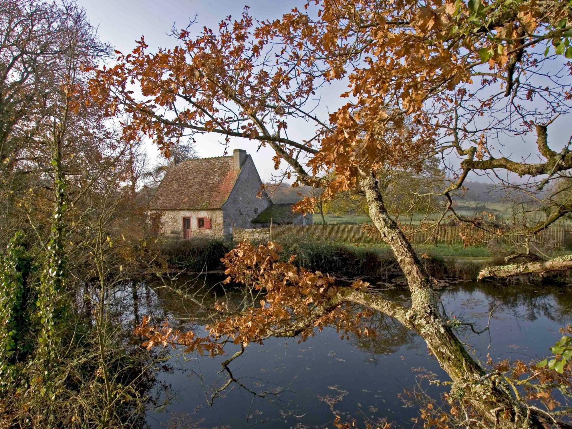 Sejour Nature Au Coeur Du Parc De La Brenne: Gite 4 Chambres, Jardin Et Terrasse, Proche De Rosnay - Fr-1-591-141 Rosnay (Indre) Exterior foto